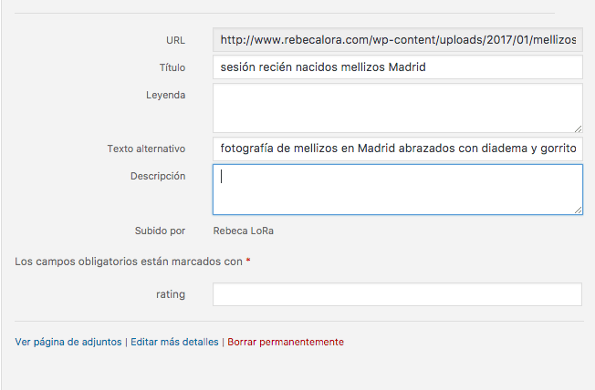 titulo y alt text correcto wordpress