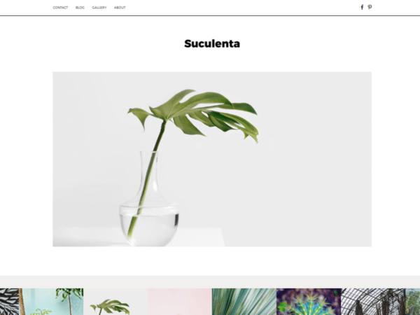 screenshot premium theme wordpress suculenta theme